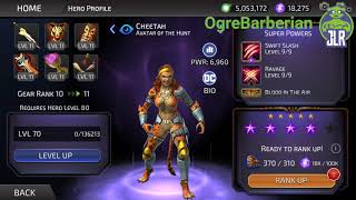 OgreBarberian: In Depth Look at Cheetah Avatar of the Hunt [DC Legends]