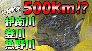 【鮎釣り】総移動距離500km！一期一会の鮎釣りキャンプ！！