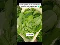 today’s harvesting terrecegarden garden youtubeshorts music organic harvest