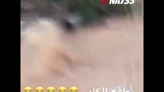 ضحك بالدموع والله هههههه