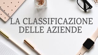 La Classificazione delle Aziende ed il loro Processo Produttivo - Economia Aziendale per tutti