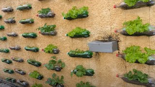 80 Beautiful Garden ideas Using Old Plastic Bottles