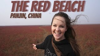 The Red Beach | Panjin, China | Wheelee's Travels