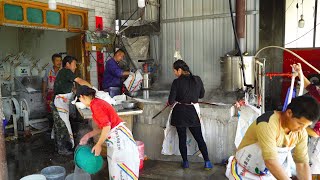 It’s amazing, the real shot of making rural hot pot potato vermicelli-China Food Processing Workshop