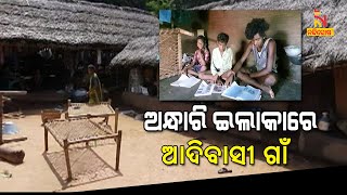 This Village In Keonjhar District Has No Electricity Supply, Know Why । NandighoshaTV