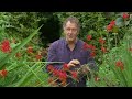 Gardeners' World 2024🍀Episode 19