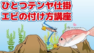 【真鯛】一つテンヤの海エビの刺し方【餌の付け方】