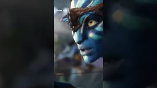 Avatar 2 First Day Box Office Collection 🤑? || #shorts#viral#youtubeshorts