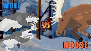 Wolf vs Moose | Wolf vs Animals Level Challenge [S1] | Animal Animation