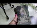 traceyhd s review of the dreamkeepers tarot