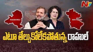 Wayanad or Rae Bareli... Rahul Gandhi in Dilemma to Reach a Final Decision | Ntv