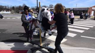 Carousel Animal Parade