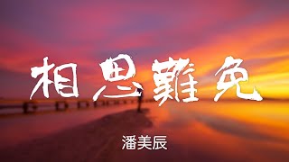 『怀旧歌曲』潘美辰(PAN MEI CHENG)-相思難免（XIANG SI NAN MIAN）【相思難免相思難眠，只盼回首依舊是藍天。】#華語歌曲 #華語音樂 #經典歌曲 #動態歌詞