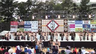 浪花乱風　2012年8月5日　おどるんや　紀州よさこい2012