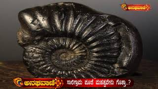 ಸಾಲಿಗ್ರಾಮ ಯಾರ ಸ್ವರೂಪ ಗೊತ್ತಾ..? ಸಾಲಿಗ್ರಾಮ ಶಿಲೆ ಪೂಜಿಸಿದ್ರೆ ನೂರು ಶಿವಲಿಂಗ ಪೂಜೆಗೆ ಸಮ..! | ANAGHA VAANI