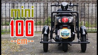 ใหม่!! ขนาดมินิ 100 ซม. Elderly Mobility Vehicle | Scoopy Training Wheels รถผู้สูงอายุ