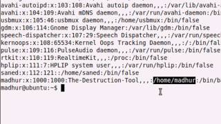 Shell Scripting Tutorial 44 The 'passwd' File Explained