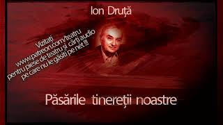 Ion Druta - Pasarile Tineretii Noastre (1991) #teatruaudio #teatruradiofonic #teatruonline #teatru