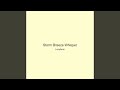 Storm Breeze Whisper