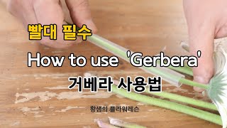 florist tip - Straightening the Curved Flower 'gerbera' 거베라 줄기세우기