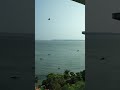 cidade goa ll taj hotel tajhotels shortsvideo travel youtubeshorts