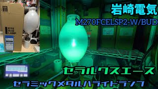 【商品紹介】セラミックメタルハライドランプ、セラルクスエース270w