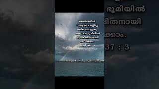 #viralvideo #viralshorts #jesus #love #malayalambiblewords #christianquotes #motivation