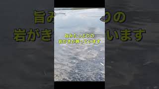 【釜磯の海岸湧水】砂浜や海岸から湧水が湧き出す不思議な風景が見られる海岸…地球の神秘🌏