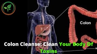 ✅ Colon Cleanse || How to Clean Your Body Of Toxins