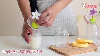 紐西蘭 haakaa 真空集乳器和哺乳內衣