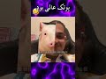 این فیلتر تیک تاک نشون میده شبیه چه حیوانی هستی همراه با پوریاپوتک شبیه خوکه🐷 🐖 🤣😂😂