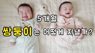 5개월 쌍둥이는 어떻게 지낼까?(귀여움주의)  쌍둥이 아기발달\u0026성장과정(생후159~160일) 쌍둥이 브이로그 twins vlog♥