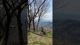 京都で海が見えるブランコ🌲