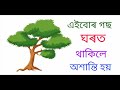 এইবোৰ গছ ঘৰত থাকিলে অশান্তি হয়