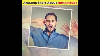 Amazing Facts About Human Body | Human Body Facts #shorts #facts