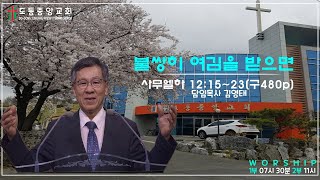 [말씀선포] “불쌍히 여김을 받으면\