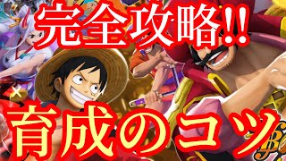 初心者必見‼︎育成のコツ完全攻略‼︎やってはいけない事・早技・コツ‼︎【バウンティラッシュ】