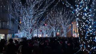 Roppongi Hills Christmas Illumination 2024 #japan (六本木のイルミネーション)