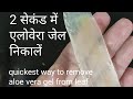 HOW TO REMOVE ALOE VERA GEL From Leaf in 1 MINUTE| Make Aloe Vera Gel in 60 Seconds for Hair Growth