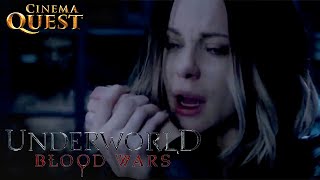 Underworld: Blood Wars | Selene Makes Amends (ft.Kate Beckinsale) | Cinema Quest