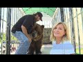 celebrity grizzly brody the bear says thanks to nutramax laboratories