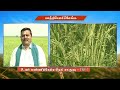 pon vilaiyum bhoomi 03.02.2022 successful farmer story