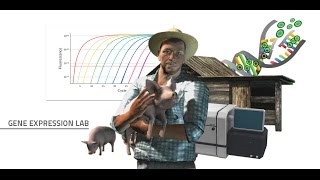 Labster Virtual Lab: Gene Expression Simulation