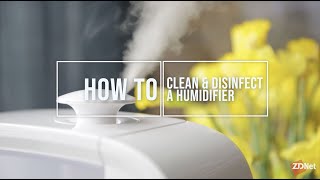 How to clean and disinfect a humidifier