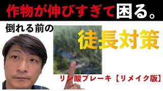 リン酸で生育コントロール　ブレーキの仕方