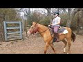 riding bareback on a lunge line to improve balance youth western riding lessons arena drills