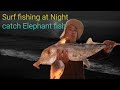 Surf fishing at Night Catch Elephantfish| Long Beach |Robe   South Australia| Camping & Fishing