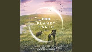 Planet Earth III Suite (From "Planet Earth III")