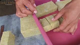 tutorian cara semai hidroponik melon mengunakan rockwool