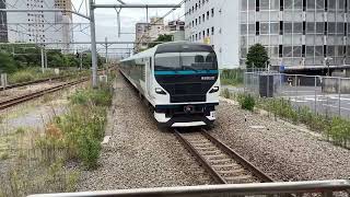 E257系踊り子13号伊豆急下田・修善寺行き川崎駅到着￼